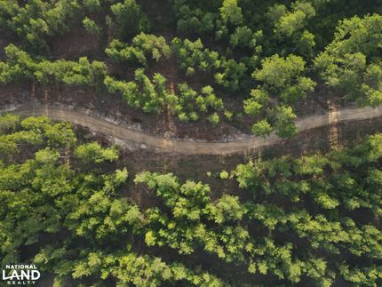 Undeveloped Land for sale in Perry County, Mississippi