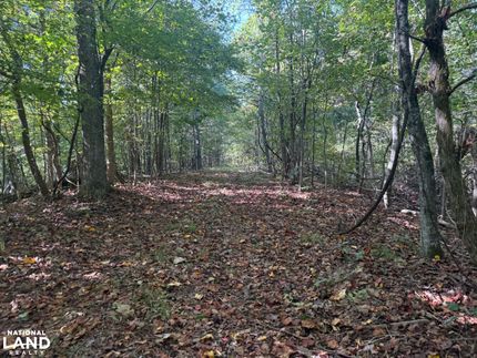 Timberland Property for sale in Decatur County, Tennessee