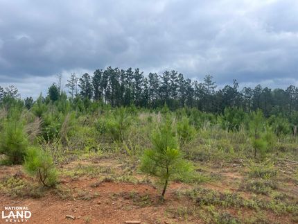Property in Pickens County, Alabama