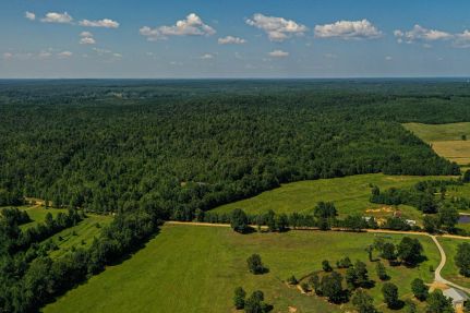 Hunting Land for sale in Benton County, Mississippi