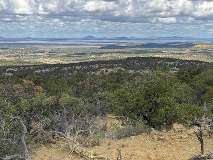Property for sale in Catron County, New Mexico