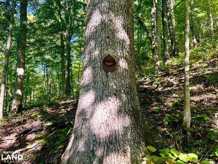 Property for sale in Estill County, Kentucky