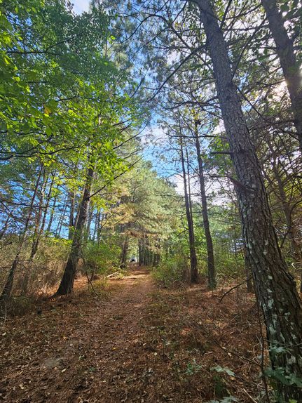 Timberland Property for sale in Cherokee County, Alabama