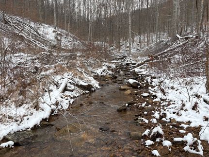 Property for sale in Scott County, Tennessee