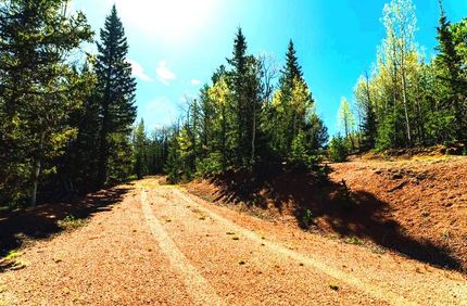 Undeveloped Land for sale in Teller County, Colorado