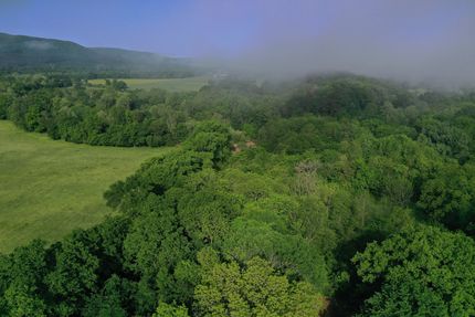 Property in Yell County, Arkansas