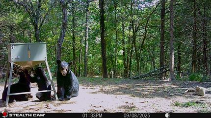 Property for sale in Latimer County, Oklahoma