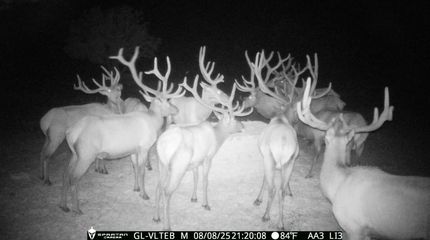 Property for sale in Socorro County, New Mexico