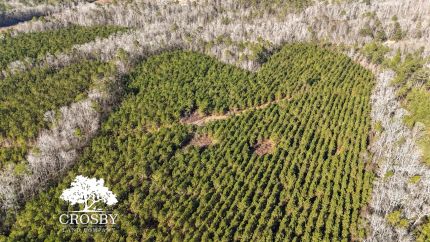 Property for sale in Emanuel County, Georgia