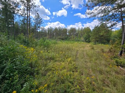 Property for sale in Calhoun County, Alabama