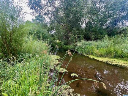 Horse Property for sale in Grant County, New Mexico