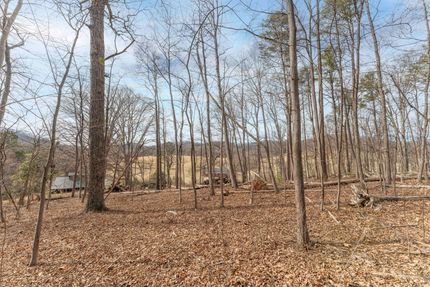 Property for sale in Albemarle County, Virginia