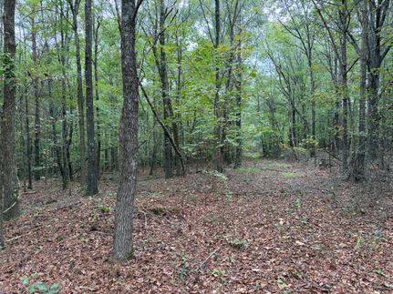 Undeveloped Land for sale in Polk County, Georgia