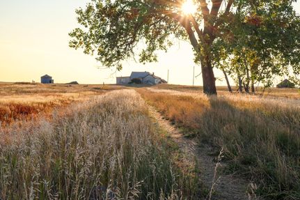 Farm Property for sale in Phillips County, Montana