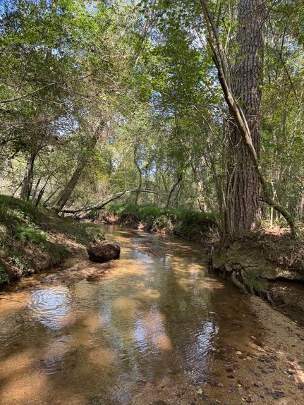 Undeveloped Land for sale in Oconee County, Georgia