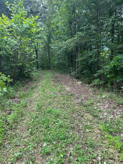 Undeveloped Land for sale in Hickman County, Tennessee