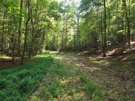 Timberland Property for sale in Jones County, Georgia