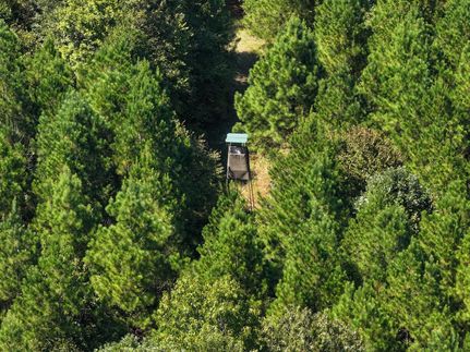 Hunting Land for sale in Saline County, Arkansas