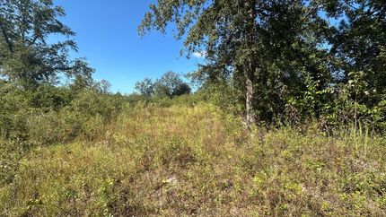 Property for sale in Screven County, Georgia