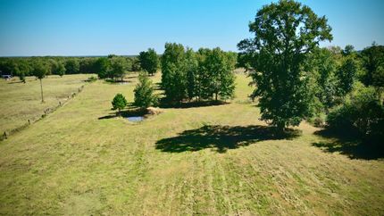 Hunting Land for sale in Camp County, Texas
