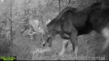 Property for sale in Stevens County, Washington