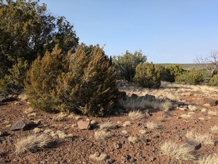 Property for sale in Apache County, Arizona