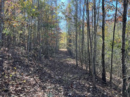 Residential Property for sale in Coosa County, Alabama