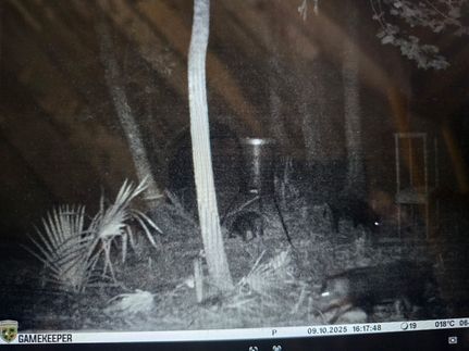 Property for sale in Avoyelles Parish, Louisiana