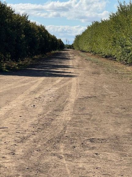 Property for sale in Sutter County, California