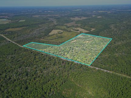 Timberland Property for sale in Holmes County, Florida