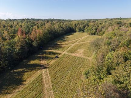 Property for sale in Hardeman County, Tennessee