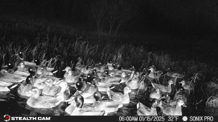 Riverfront Property for sale in McIntosh County, Oklahoma