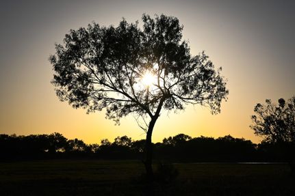 Property for sale in Frio County, Texas