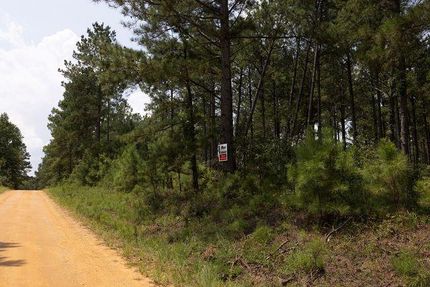 Undeveloped Land for sale in Glascock County, Georgia