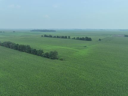 Property in Lac qui Parle County, Minnesota