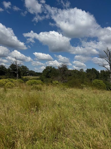 Property for sale in Henderson County, Texas