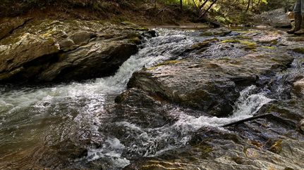 Hunting Land for sale in Wilkes County, North Carolina