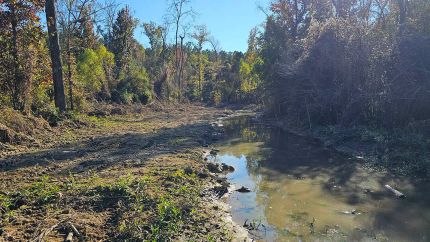 Property for sale in Carroll County, Mississippi