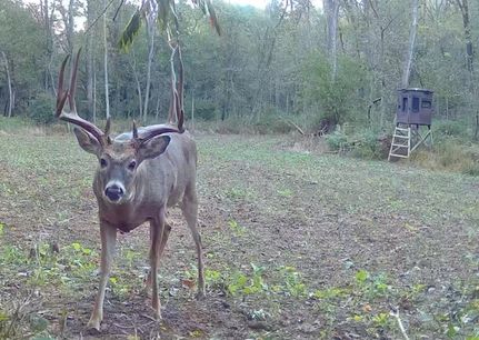 Hunting Land for sale in Knox County, Illinois