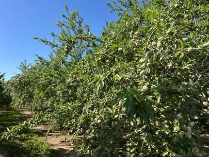 Property for sale in Colusa County, California