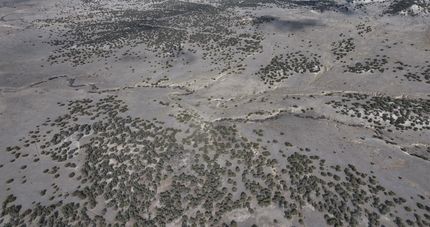 Property in Las Animas County, Colorado