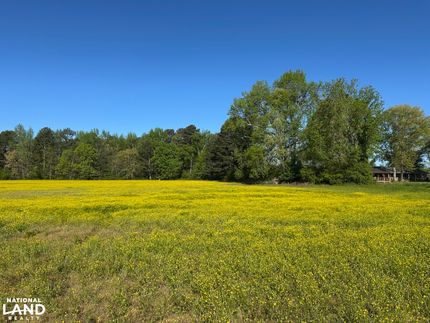 Hunting Land for sale in Limestone County, Alabama
