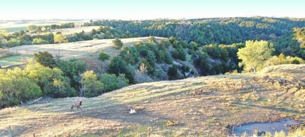 Hunting Land for sale in Custer County, Nebraska