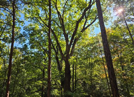 Property for sale in Calhoun County, Alabama