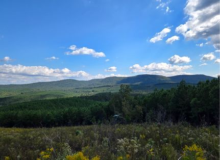 Timberland Property for sale in Cherokee County, Alabama