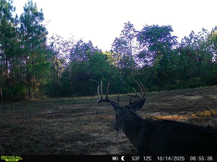 Property for sale in Jackson County, Ohio