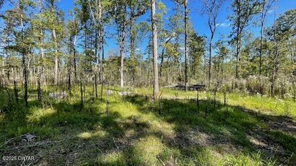 Timberland Property for sale in Madison County, Tennessee