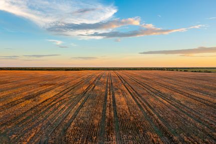 Ranch Property for sale in Jim Wells County, Texas