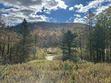 Timberland Property for sale in Potter County, Pennsylvania