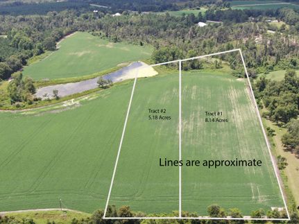 Recreational Property for sale in Coffee County, Georgia